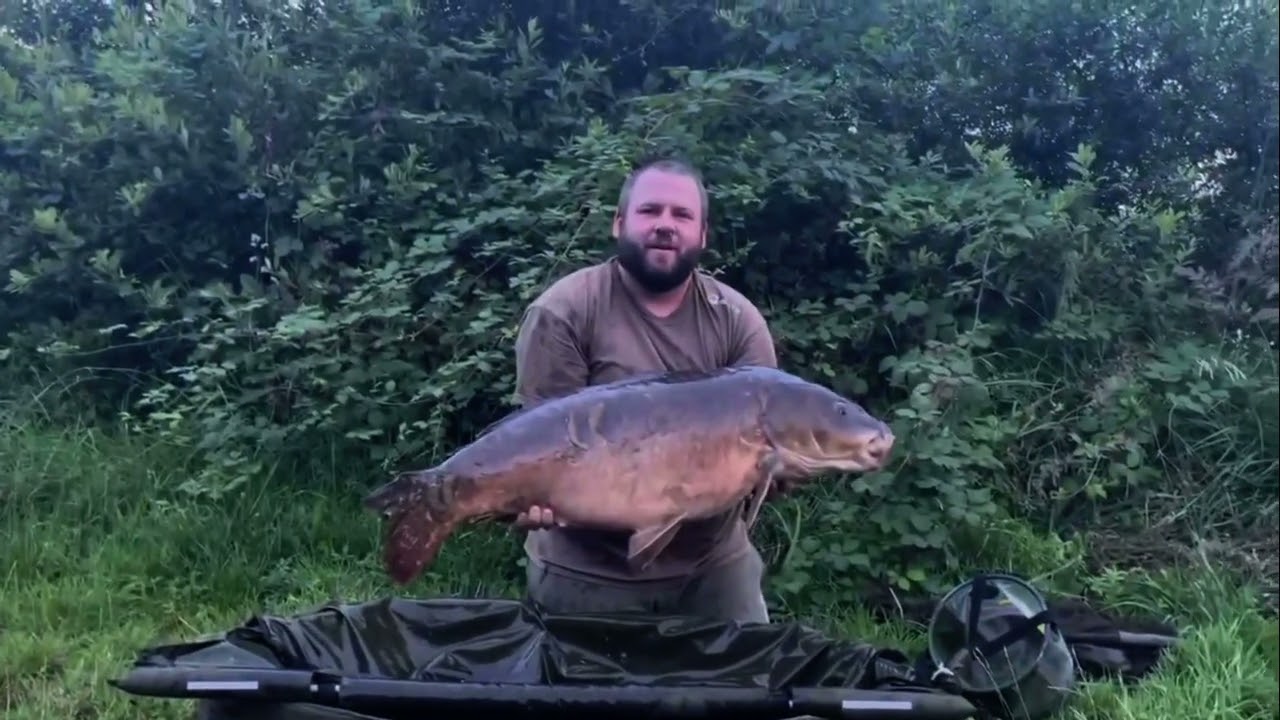 Verkrautete Kiesgrube; JH Baits Germany / Austria