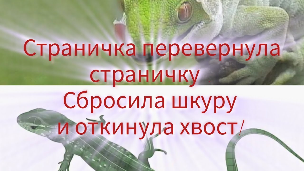 Страничка перевернула страничку, сбросила шкуру и откинула хвост. 
