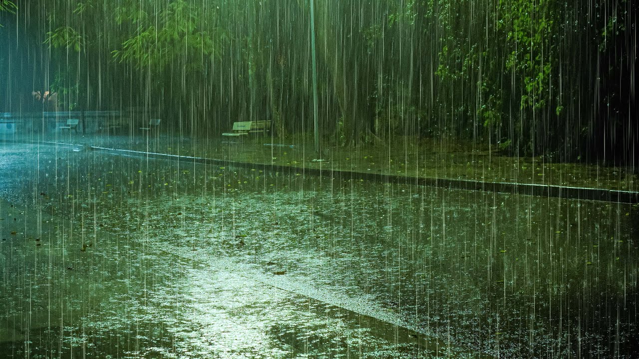 Relax Your Soul with Soft Rain on a Quiet Night Road | Deep Sleep Rain ASMR
