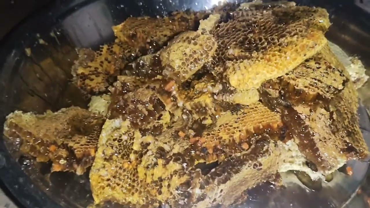 Gawn ka shahad Madhumakhiyon ka shahad kaise nikalte h Shud shahad Madhumakhi ka chatta shudh sahad 