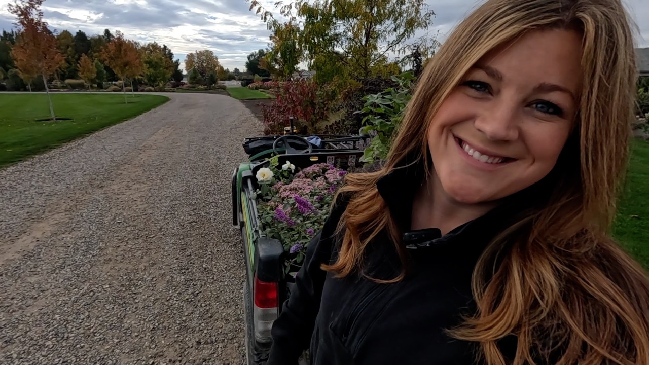 Planting a Bunch of Beauties: Lilacs, Sedum, Roses & a Butterfly Bush! 🌿💜🌸 // Garden Answer