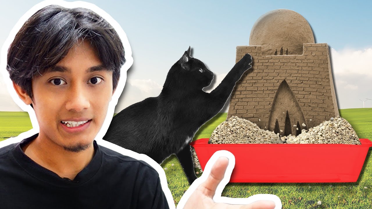 Aku Buat Istana Pasir Guna PASIR KUCING