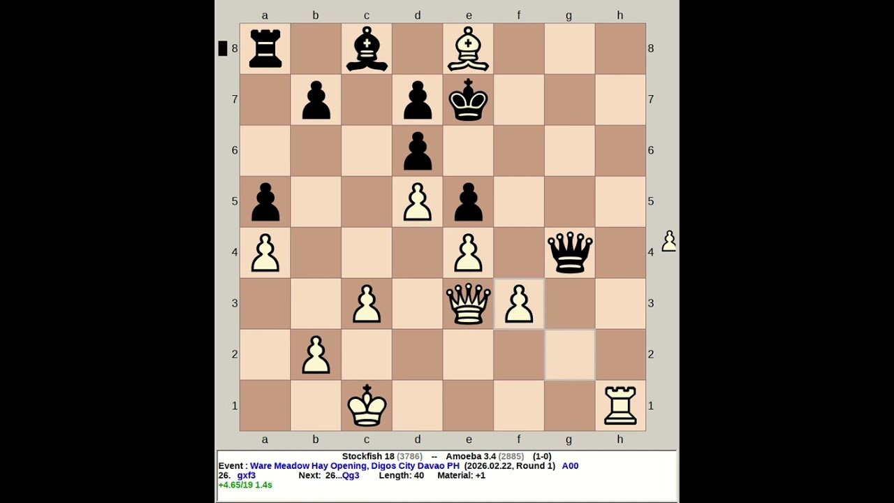 Stockfish 18 против Amoeba 3.4 | Дебют Ware Meadow Hay #шахматы