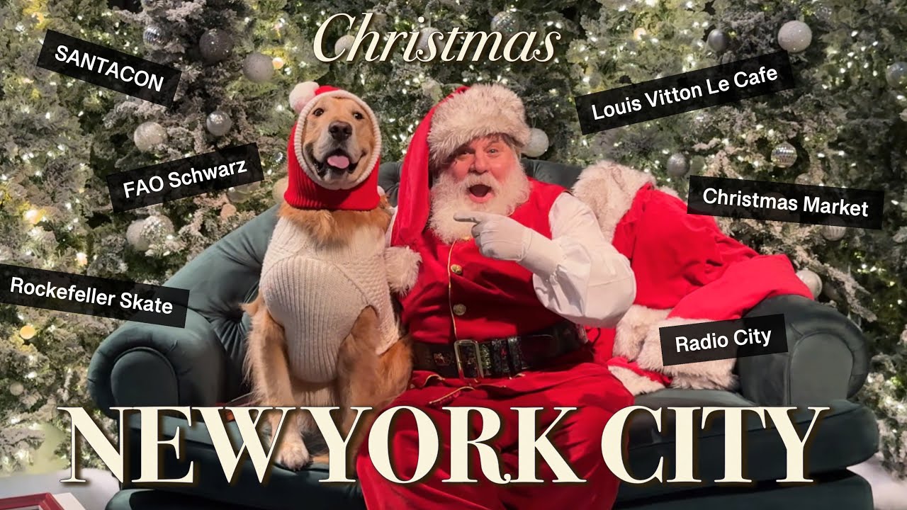🎄 ULTIMATE NYC Holiday Experience that will make you HAPPY! ♥️ CNBC Interviewed My DOG, Christmas!