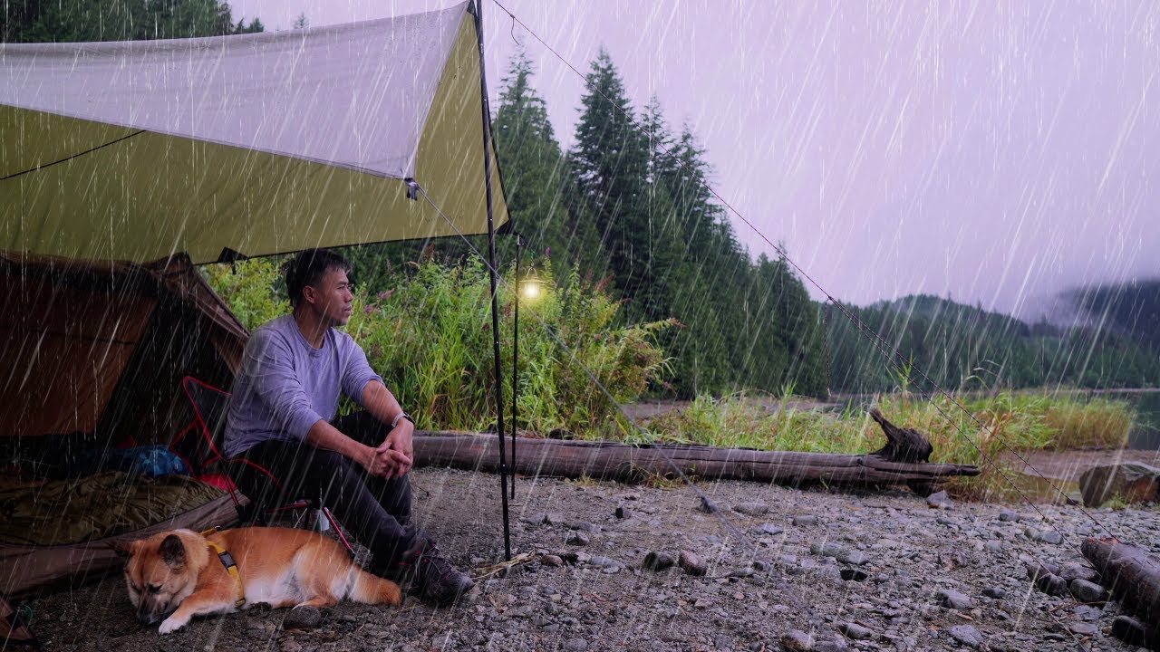 Solo Camping in the Rain with my Dog - Cozy Tent & Tarp | Calm Lake Mountain Views | ASMR
