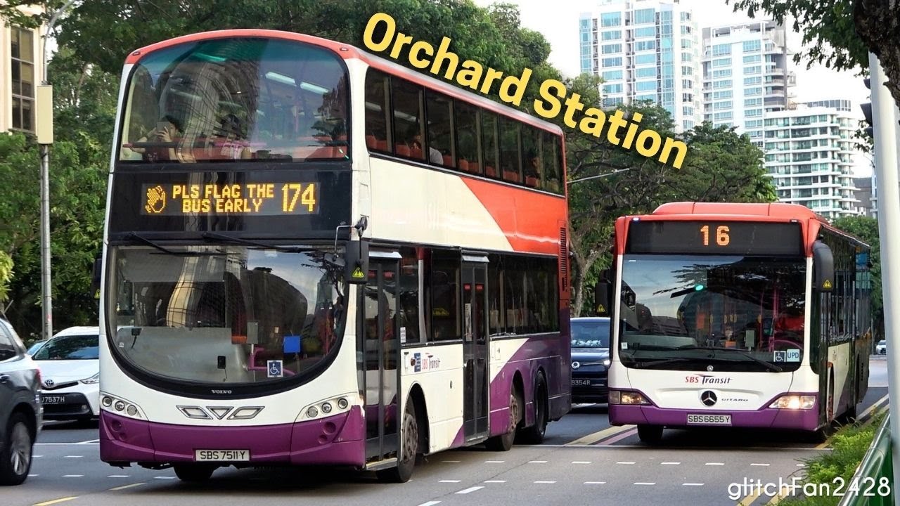 Buses at Orchard Station, Singapore 2024