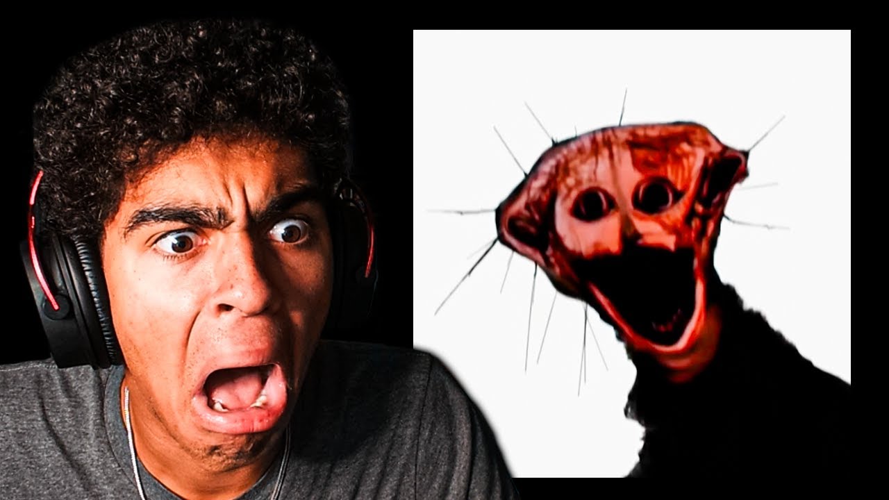 KingSammelot Reacts to The Boiled One...