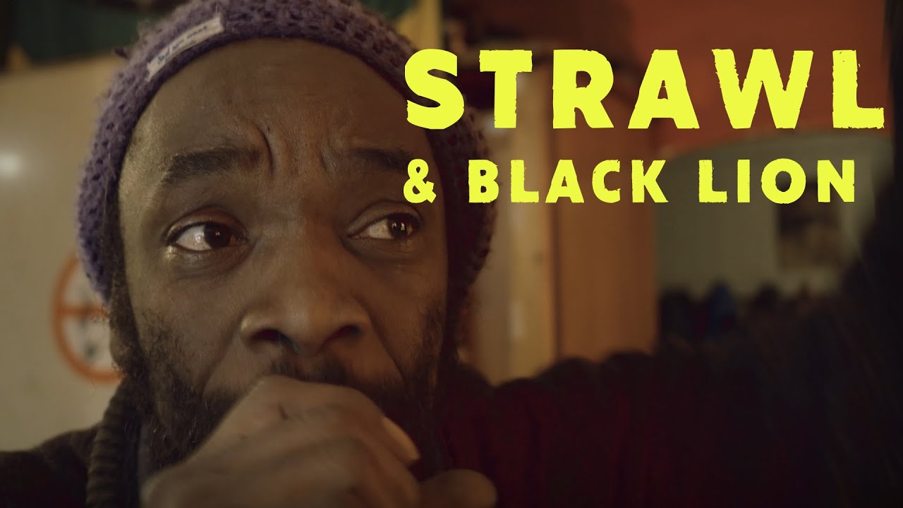 STRAWL & BLACK LION - NO DIVISION