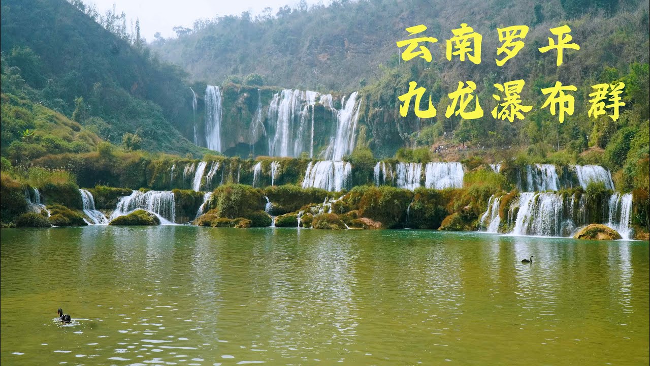 中国云南罗平九龙瀑布群，九龙十瀑，南国一绝 #罗平 #九龙瀑布