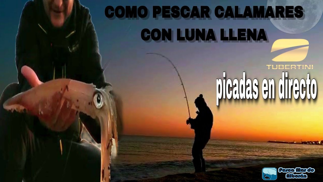 ‼️COMO PESCAR CALAMARES DESDE PLAYA CON LUNA LLENA TRUCOS Y CONSEJOS PICADAS EN DIRECTO EGING ‼️