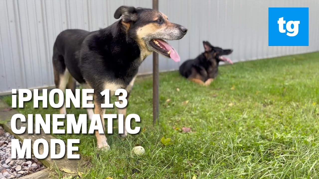 iPhone 13 Cinematic Mode Explained