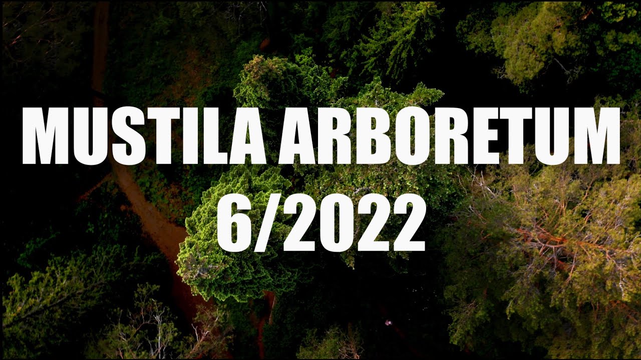 Mustila Arboretum, Elim&auml;ki kes&auml;/summer 2022