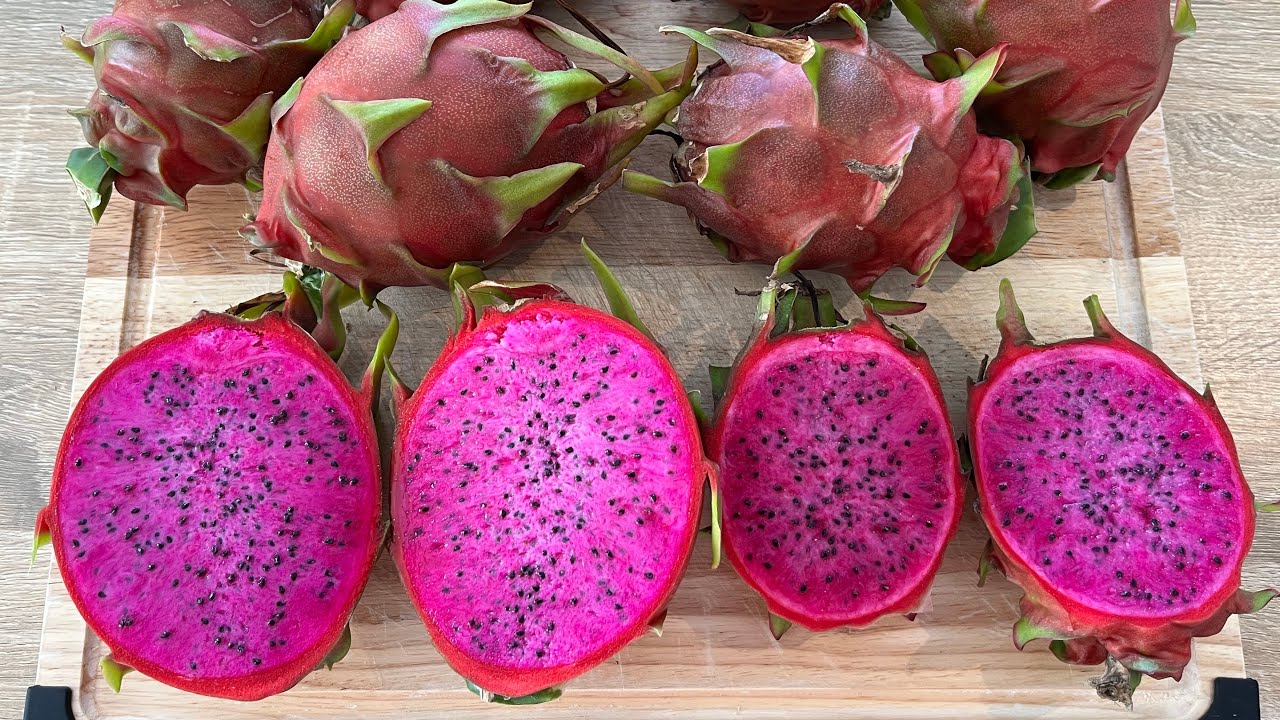 American Beauty & Jade Red Dragon Fruits Review