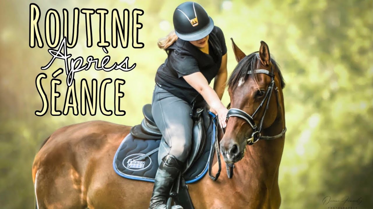 ROUTINE après séance dans notre NOUVELLE ÉCURIE !