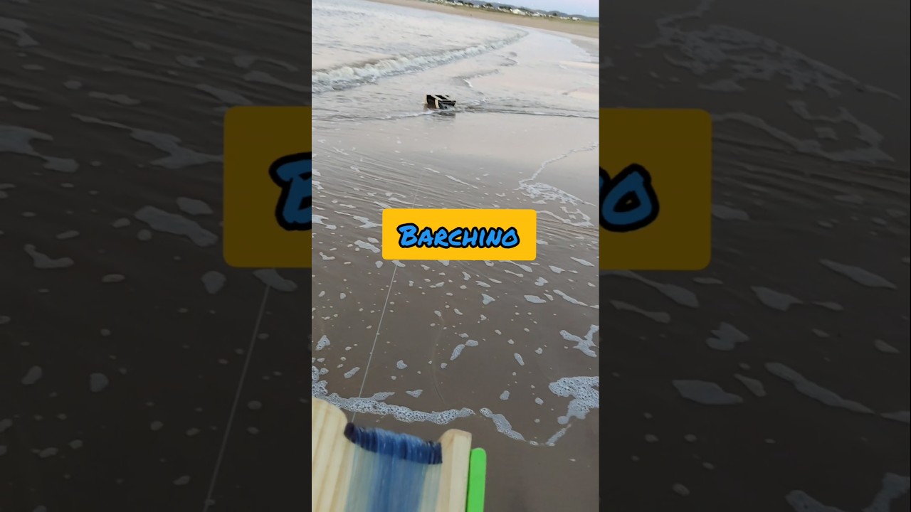 como colocar o barchino no mar.#fishing #catamaran #barcopesqueiro #pescaartesanal