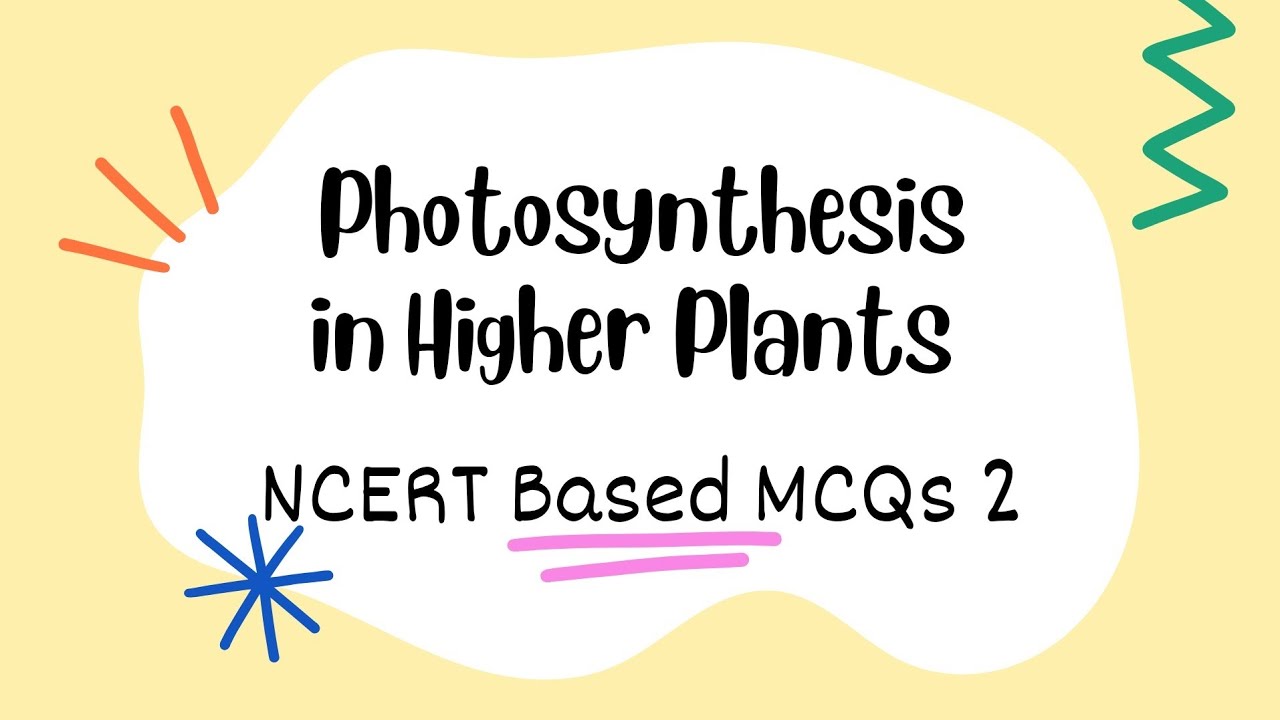 Photosynthesis in Higher Plants NCERT Questions (Part 2) | Class 11 NEET Biology