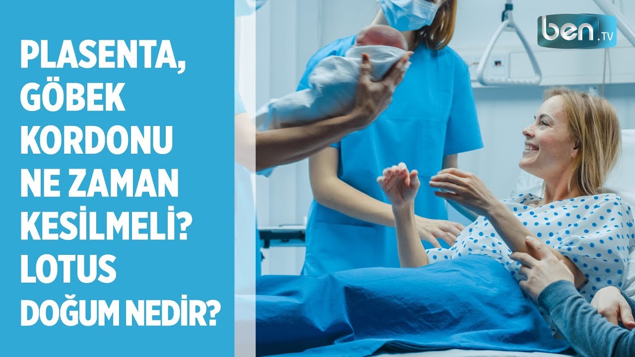 Plasenta, G&ouml;bek Kordonu ve Lotus Doğum Nedir?