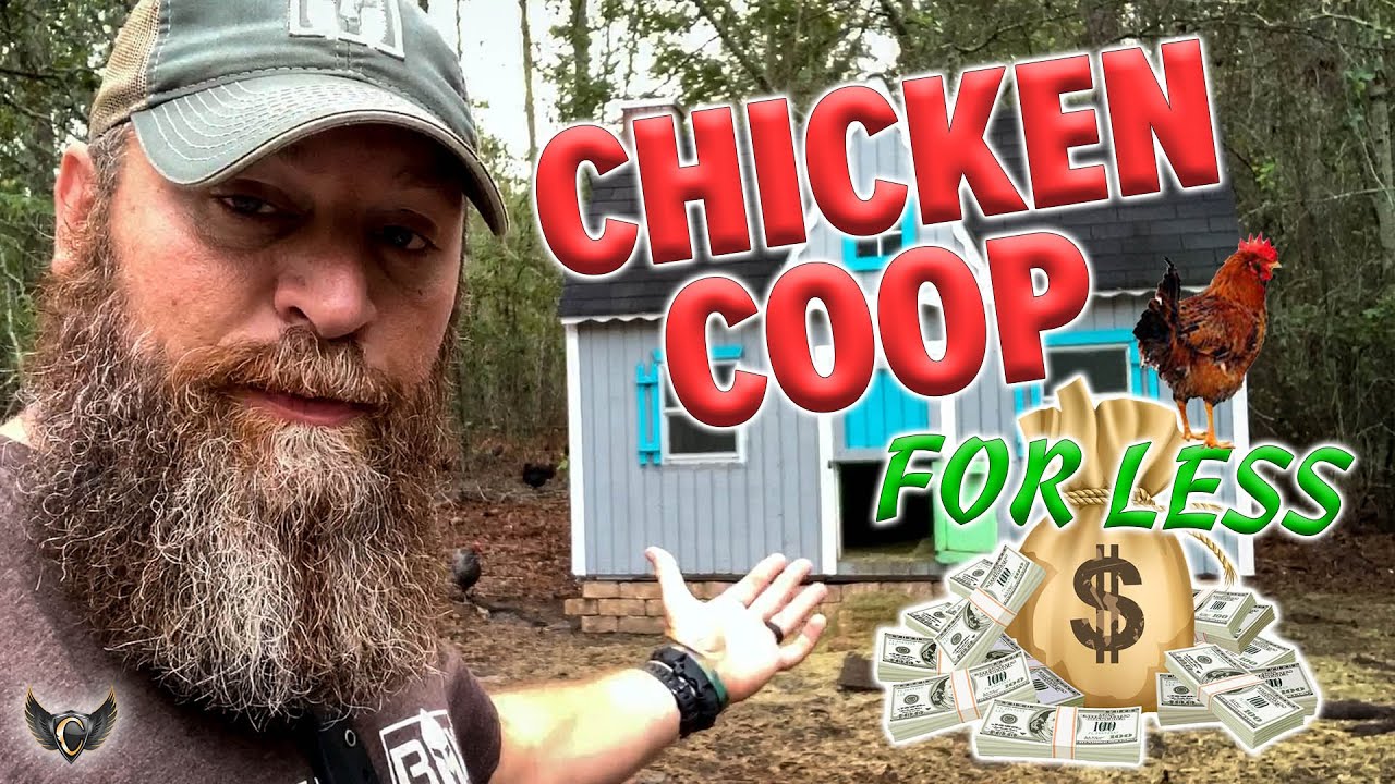 CHICKEN COOP CHEAP!