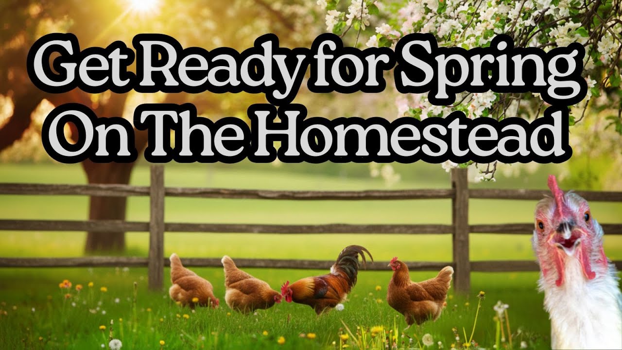 Getting Ready for Spring on the Homestead