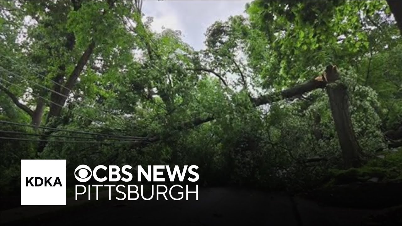 Strong storms sweep through Pittsburgh area, bringing down trees and powerlines | full coverage
