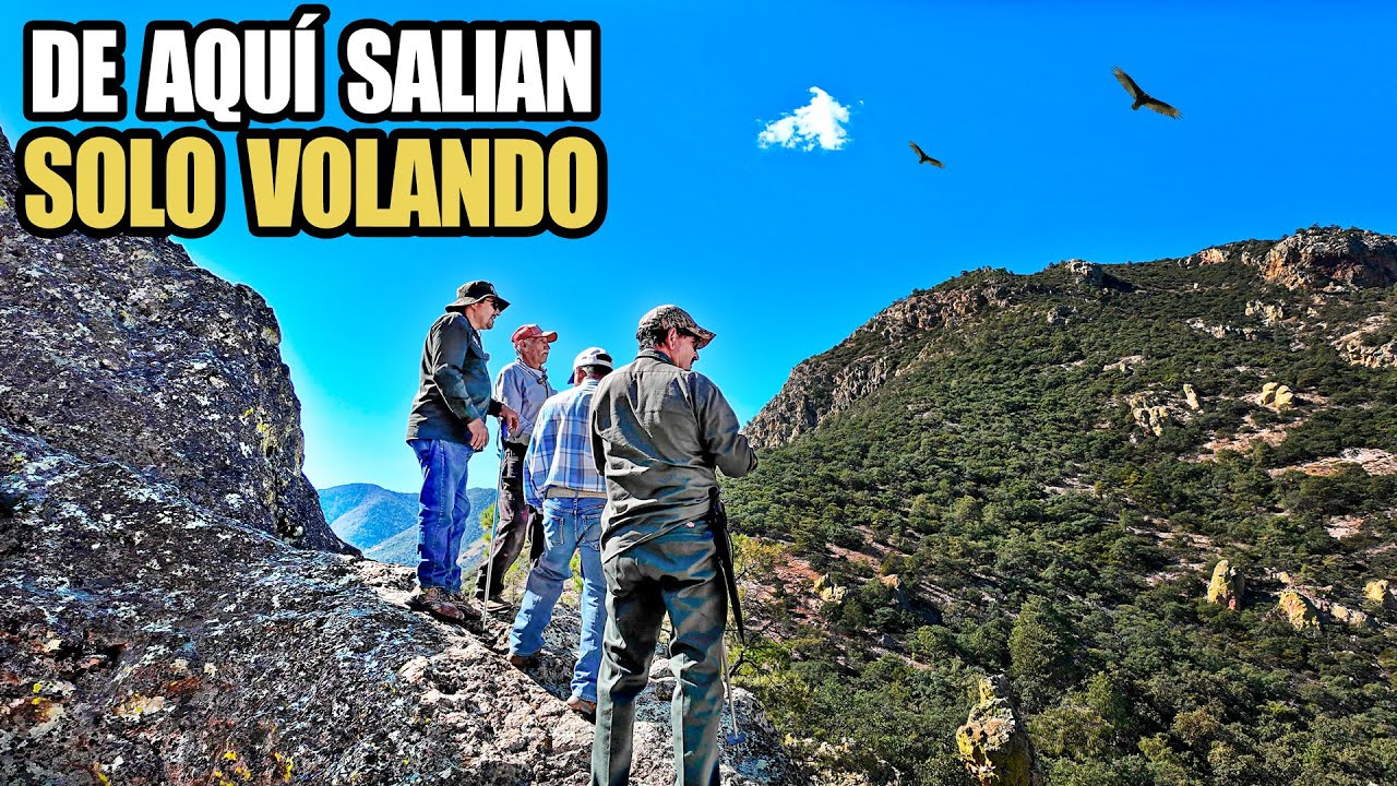 SOLO CON ALAS podrían salir las MULAS de ESTE CORRAL