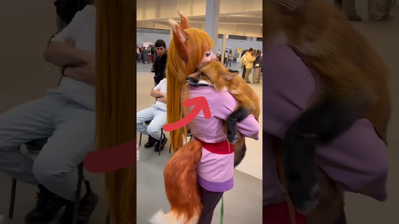 What is This Fox Doing?😳 #shorts