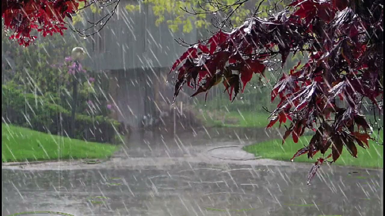 Som de CHUVA e TROVÃO para DORMIR e relaxar. Sono bom 