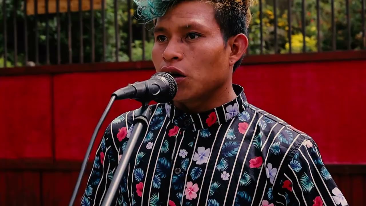 VIDEOCLIP  SON DE FLORES