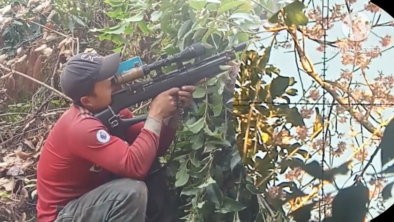 January 22, 2025 #hunting bird#small bird#shooting false#airgunshooting