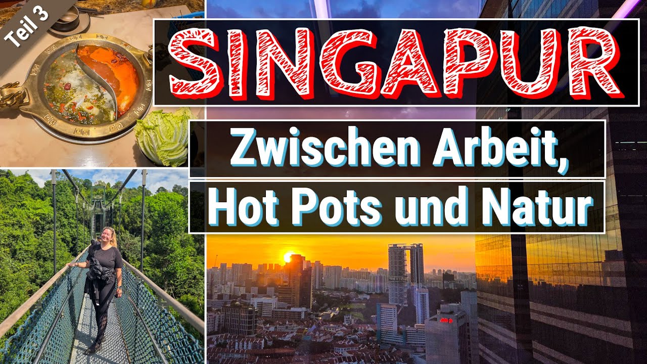 Vom Dschungel-Abenteuer ins FRESSKOMA! | MacRitchie Park & Chinatown Hot Pot | Teil 3