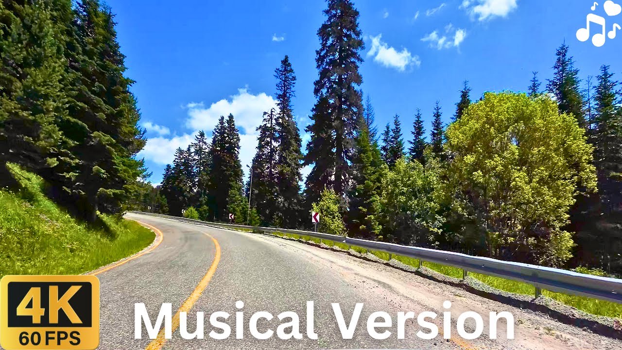 Scenic Drive with Piano Music: Ilgaz Mountain Turkey 4K (Relaxing Drive)
