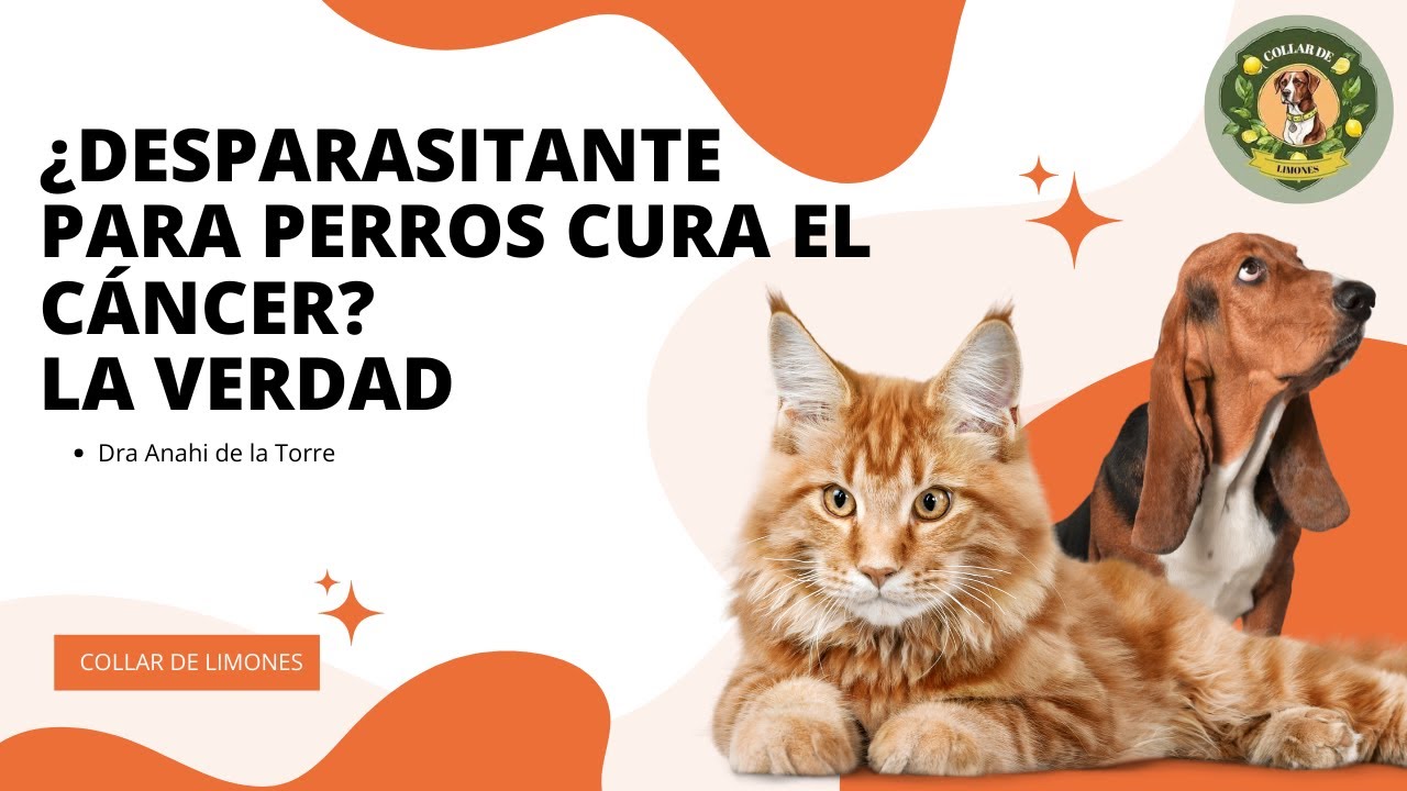 🔬 ¿Medicamentos Veterinarios contra el CÁNCER Humano? La Dra. Anahí lo Explica