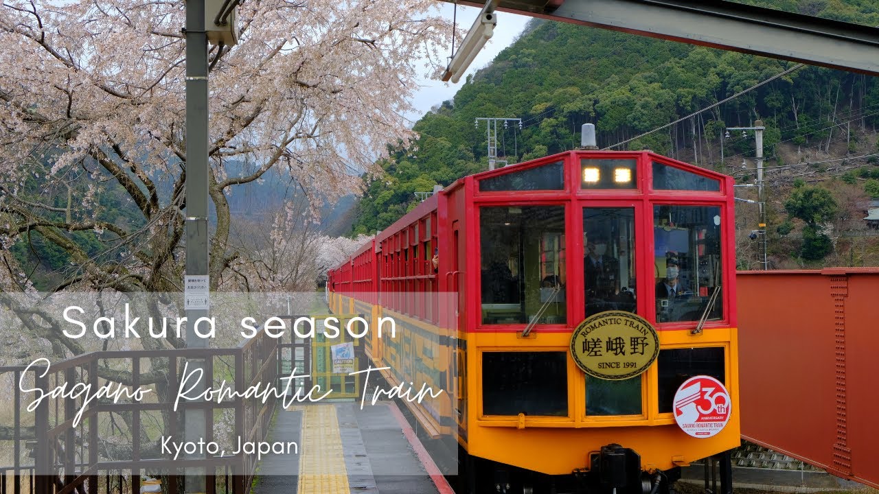 Spring in Japan: Cherry blossom (Sakura) Train Ride [in 4K]