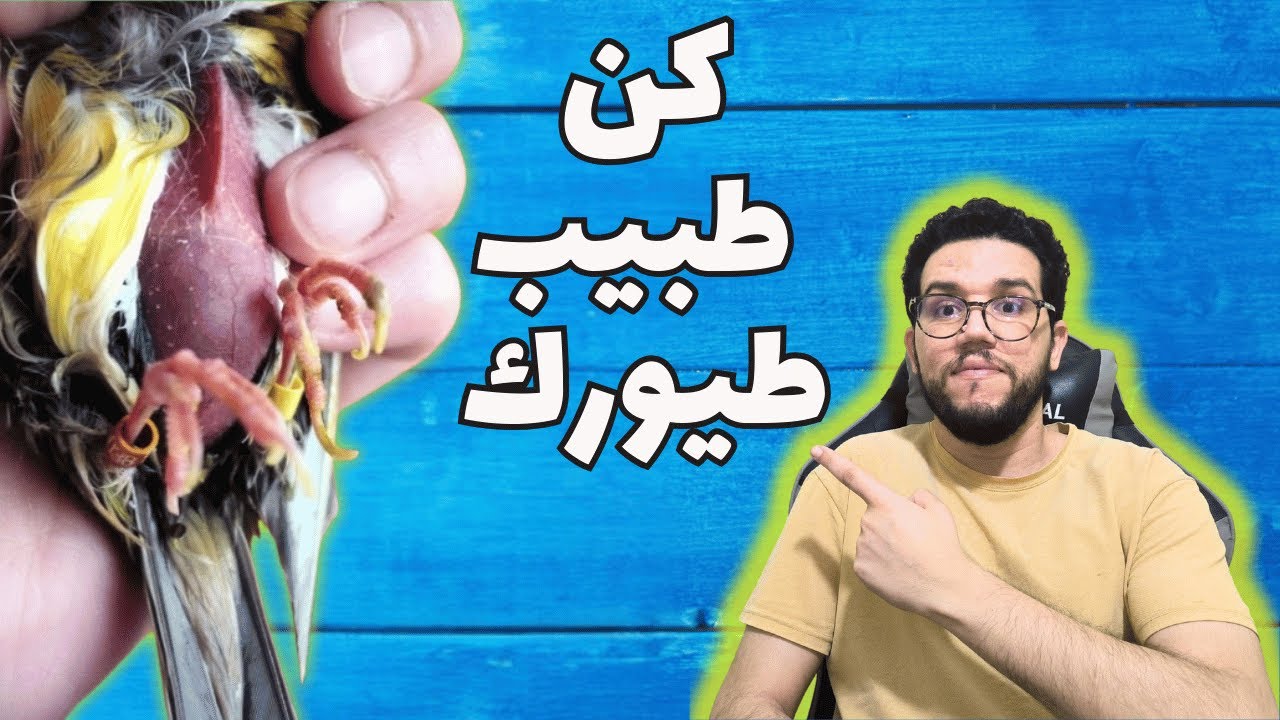 تعلم تشخيض امراض طيور الكناري والحسون  بنفسك