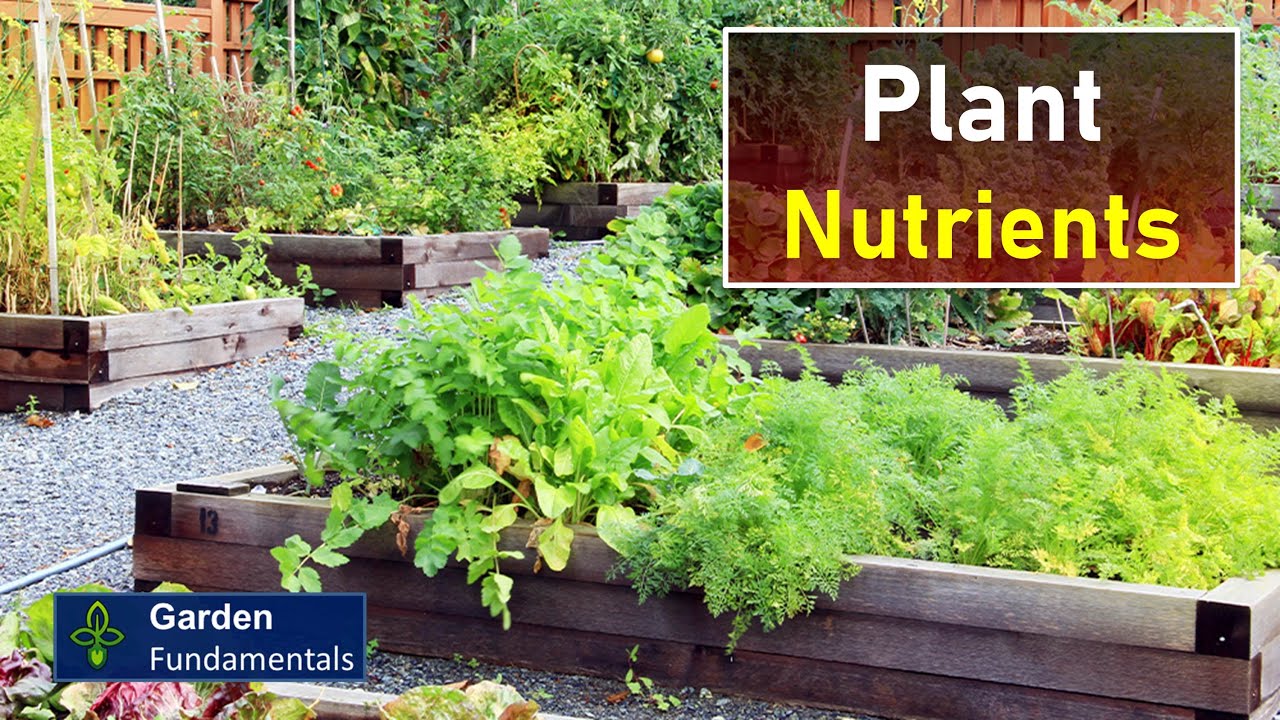 The Secret to Great Plants - Plant Nutrients