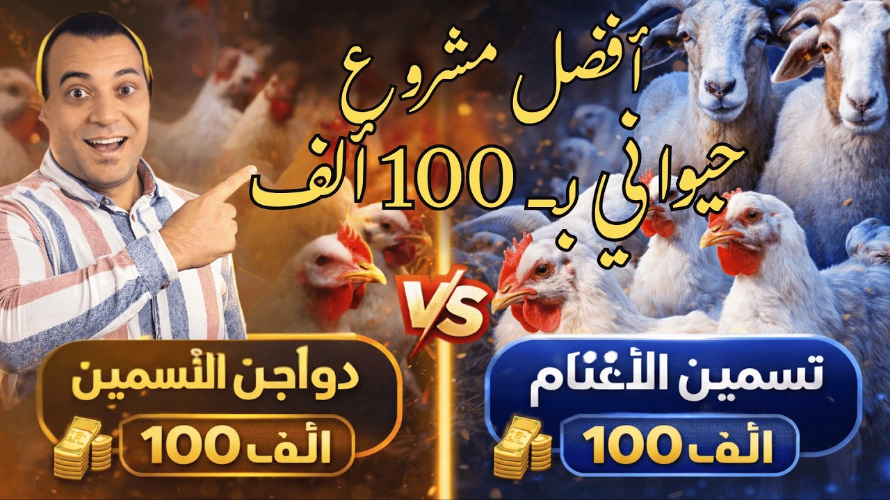 المشروع الحيواني الأفضل بالــ 100 ألف (بالورقة والقلم) The Best Livestock Project