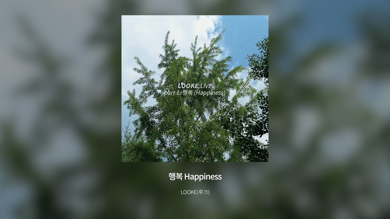 행복 (Happiness)  |  LOOKE (루크) Ver.  |  Official Lyric Video
