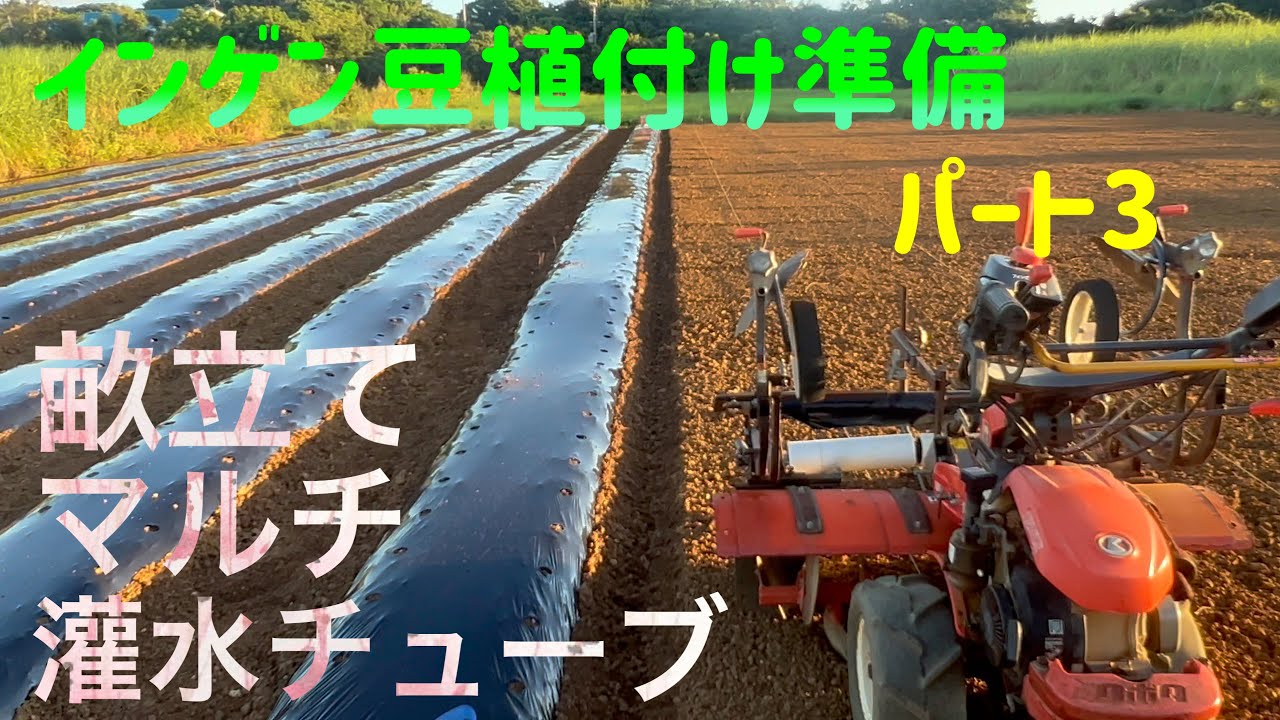クボタ管理機とハッスルロータリー畝立て同時マルチを使って、畝立て&マルチ&灌水チューブ設置！2023/09/19