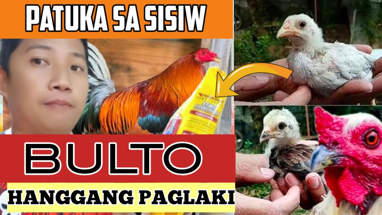 Sisiw na bulto ang katawan | Ano ang dapat Gawin