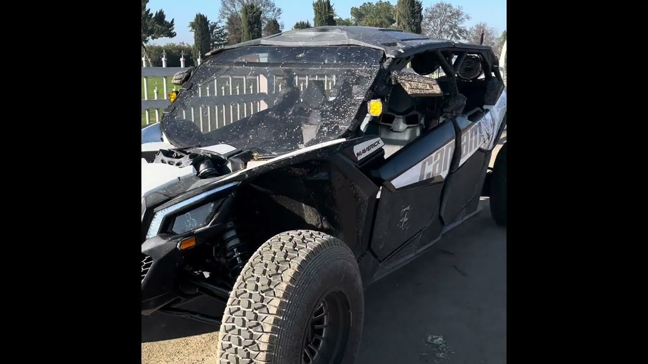 100% Adrenaline, 0% Apologies😲