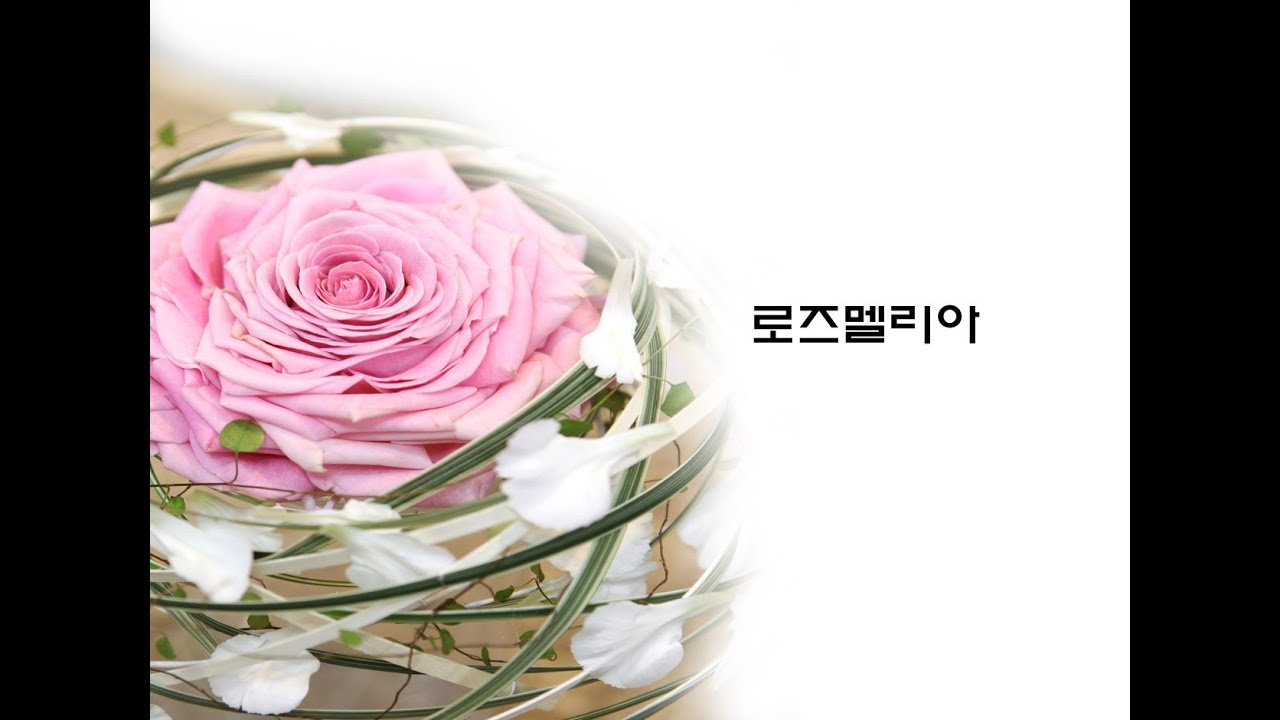 플로아트 플라워레슨 :: floral design rosemelia bouquet :: 로즈멜리아