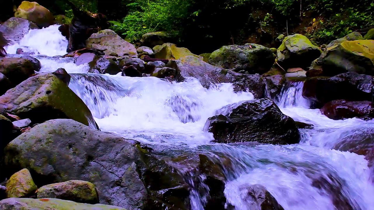 Peaceful Forest River in the Mountains | Soothing Water Sounds for Deep Restful Sleep