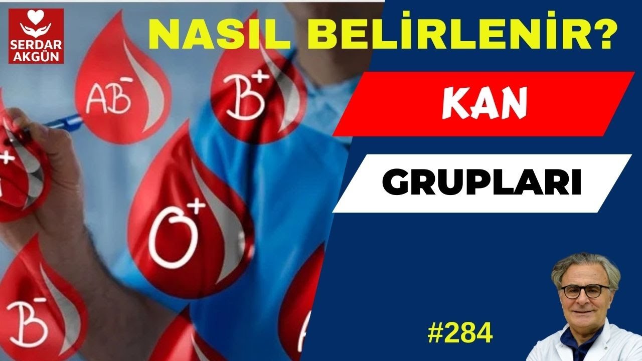 284. Kan grupları nasıl belirlenir?