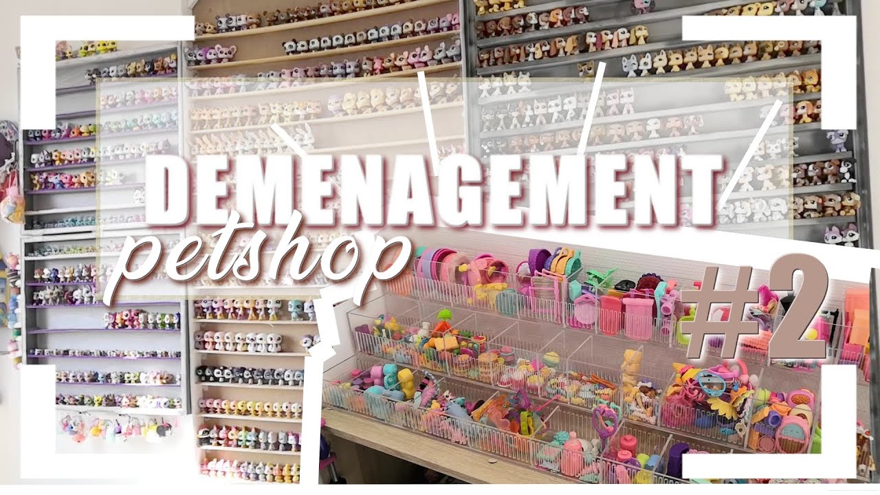 Mon déménagement - Mes étagères PETSHOP
