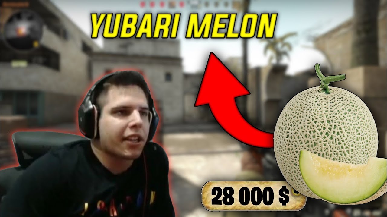 ZONY! STRATEGIA PIĘCIO-DRZWI! HODOWLA YUBARI MELONÓW! | PERBI SHOTY
