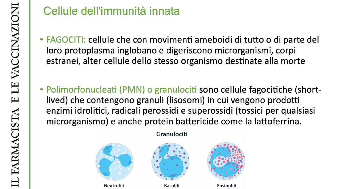 Il Farmacista vaccinatore - Principi di immunologia