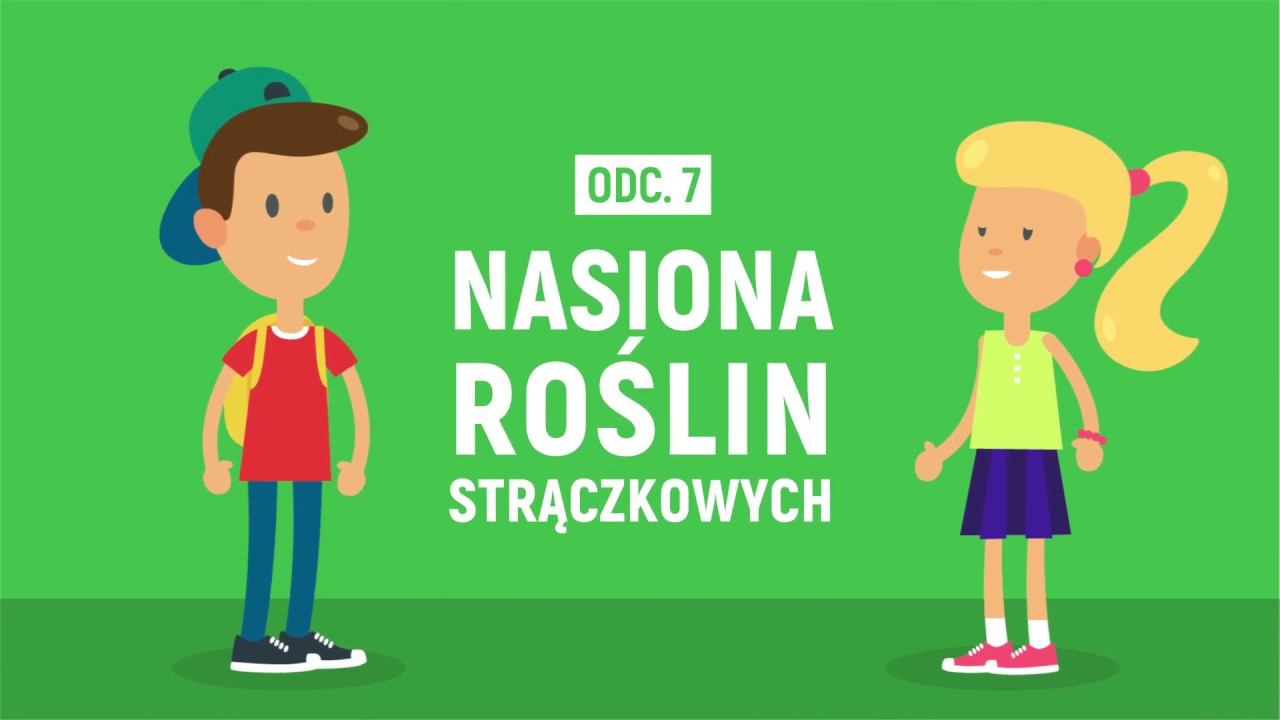 Przygody Oli i Stasia #7  Nasiona roślin strączkowych
