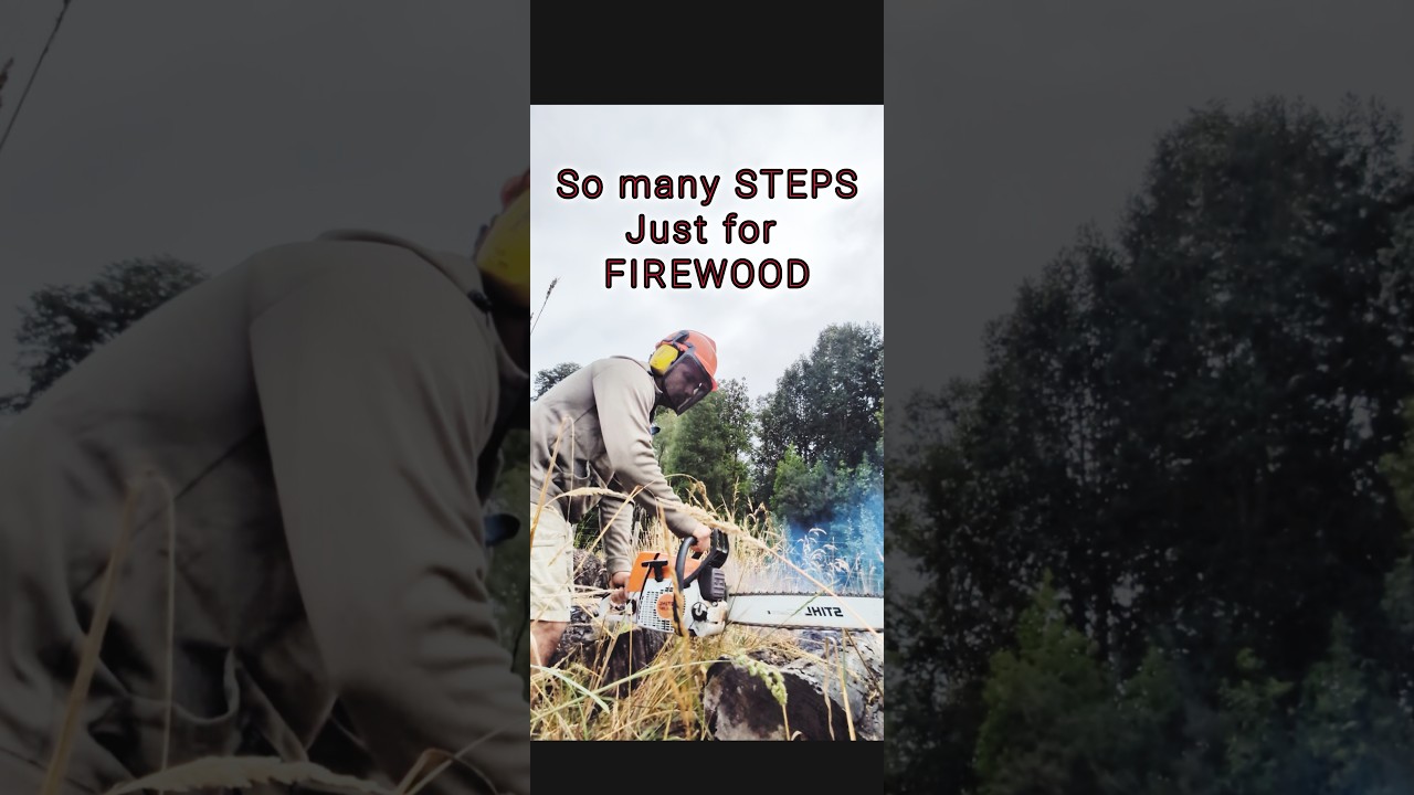 Firewood, is it worth the hassle?! #homesteading in #southernchile #chile #patagonia #firewood