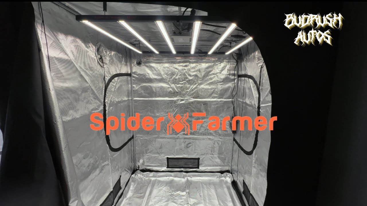 SEED TO HARVEST - SPIDER FARMER 5X5 + G8600 LED + HEATER | NEW AUTO RUN