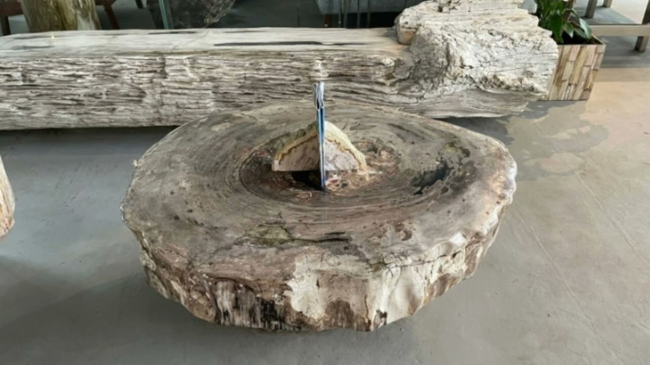Organic Live Edge Fossil Wood Coffee Tables #petrifiedwood #coffetable #livingroomfurniture
